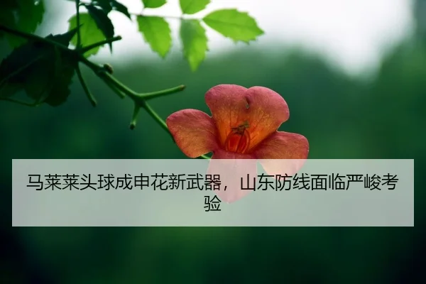ma-lai-lai-tou-qiu-cheng-shen-hua-xin-wu-qi-shan-dong-fang-xian-mian-lin-yan-jun-kao-yan-2-590.jpg