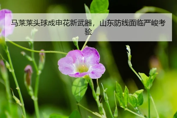 ma-lai-lai-tou-qiu-cheng-shen-hua-xin-wu-qi-shan-dong-fang-xian-mian-lin-yan-jun-kao-yan-3-949.jpg
